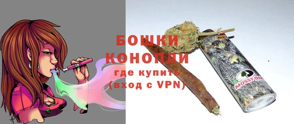 стаф Балахна