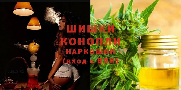 стаф Балахна