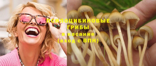 МДПВ Арсеньев